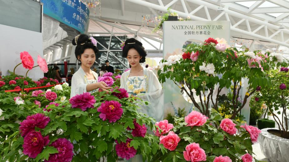 筑区域中心 兴牡丹之都 闯崛起新路