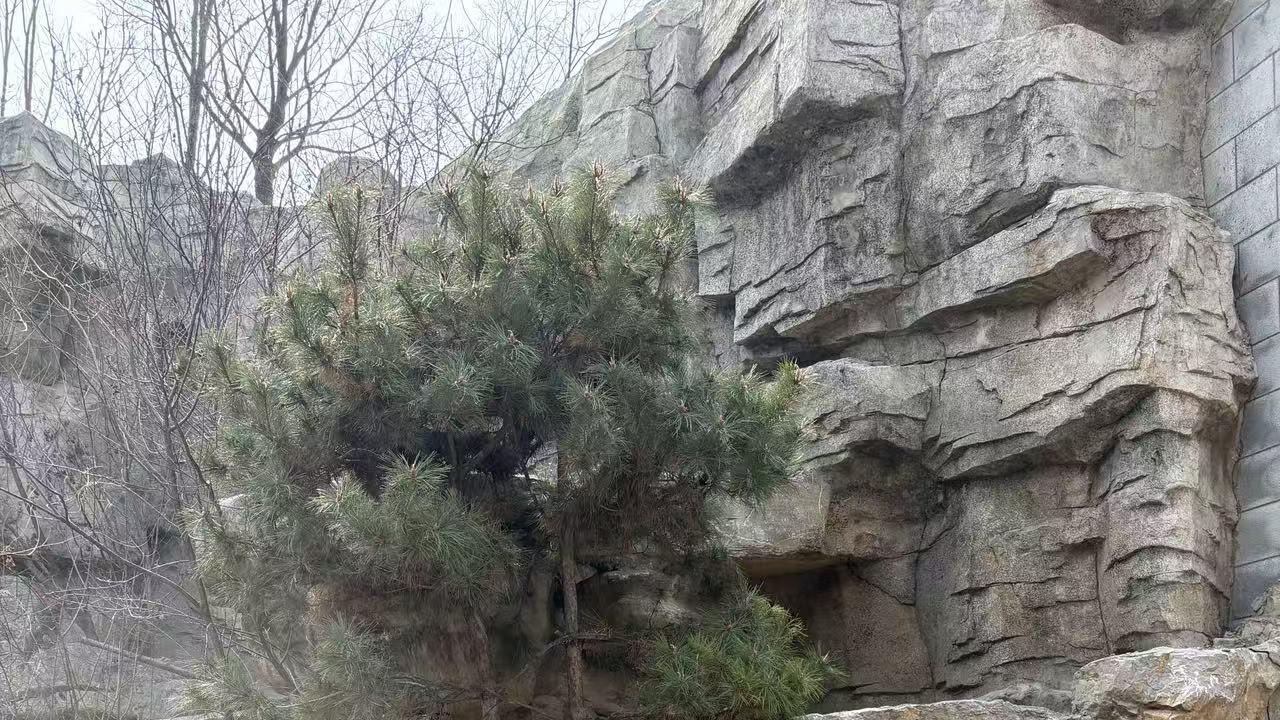 2026年每日通盛及生肖运势4月17日