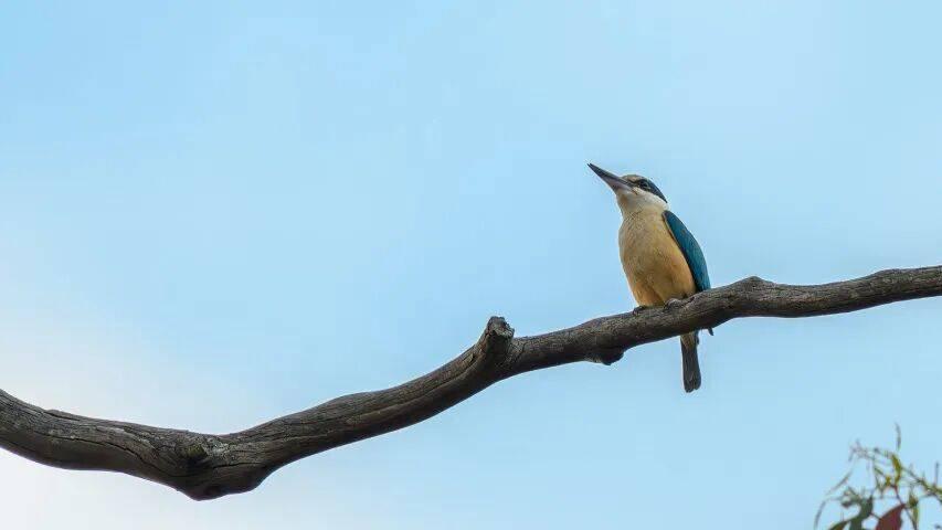 穿越舒适区的海信主动革命为了谁？