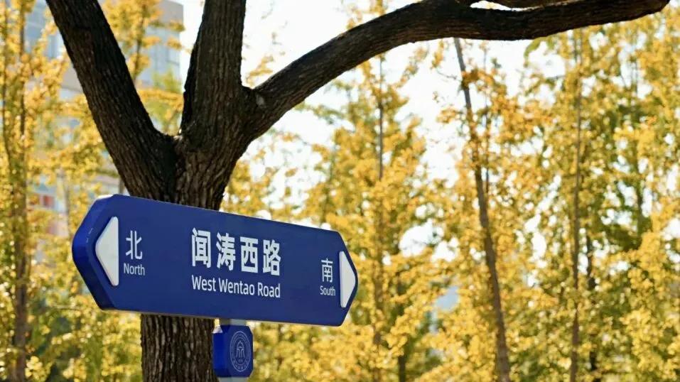 浙财换帅，47岁"准80后"教授空降校长，书记校长搭档都是管理学大咖