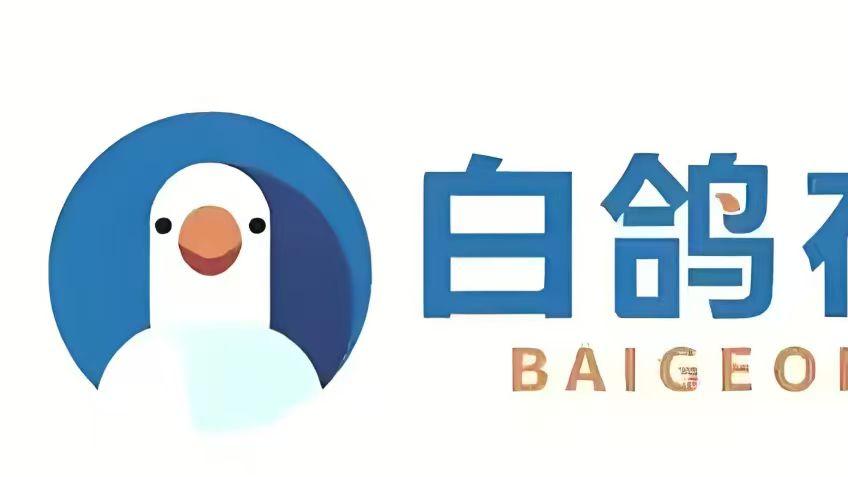 第二次！厦门白鸽在线再度通过港交所上市聆讯 重启IPO征程