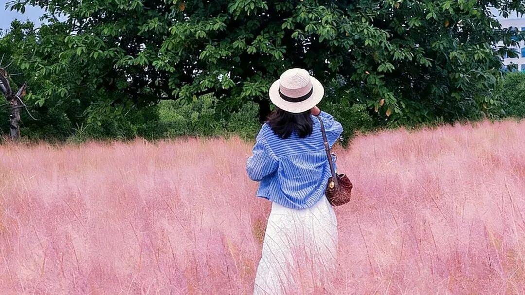 停止内耗，是中年人最顶级的自律