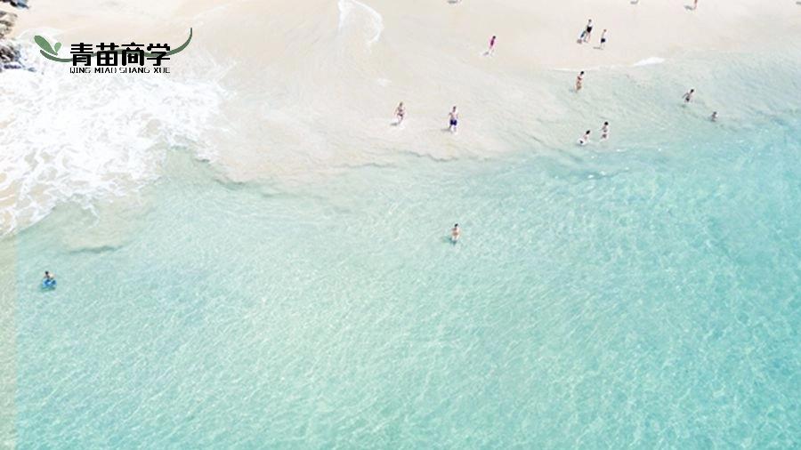 幼儿园春季活动如何开展：全流程实操教程，新手幼师零失误落地