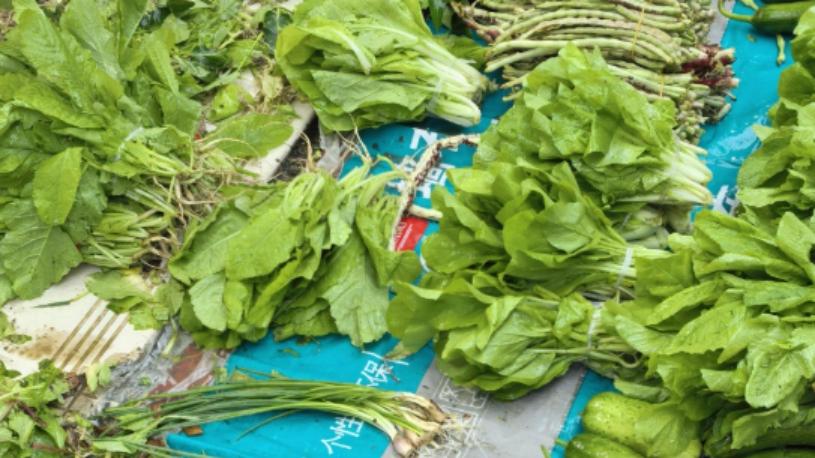 突然被年轻人疯抢 这菜有什么魔力