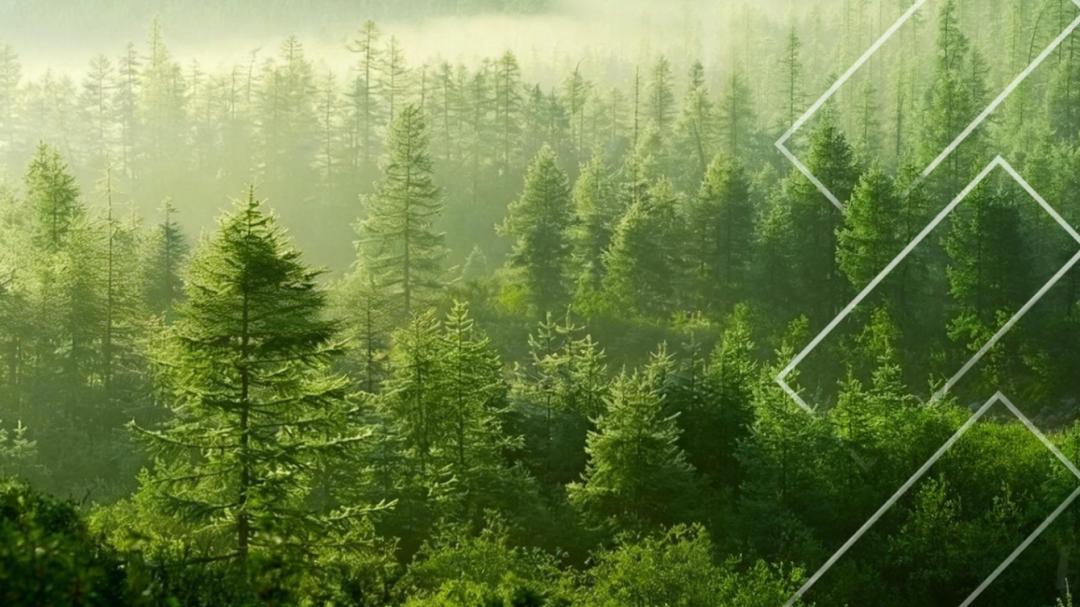 刚刚，红杉中国买下年治疗2.4亿人的“超级大药”，透露行业重大变革！