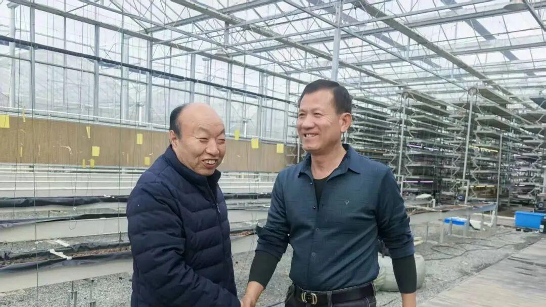 蘑菇大王丁伦保到安徽省天长市永丰镇天康智慧农业有限公司指导