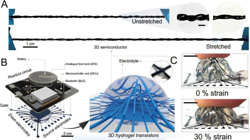 中国香港大学的研究团队开发出了柔性水凝胶三维晶体管