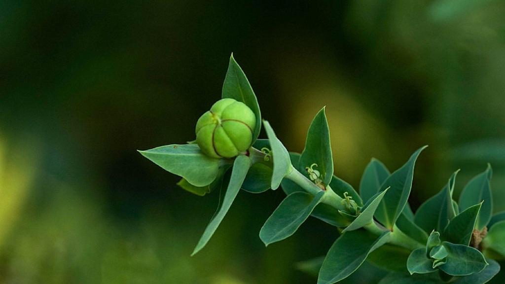 地下万米找油，是不是“逆潮流”？