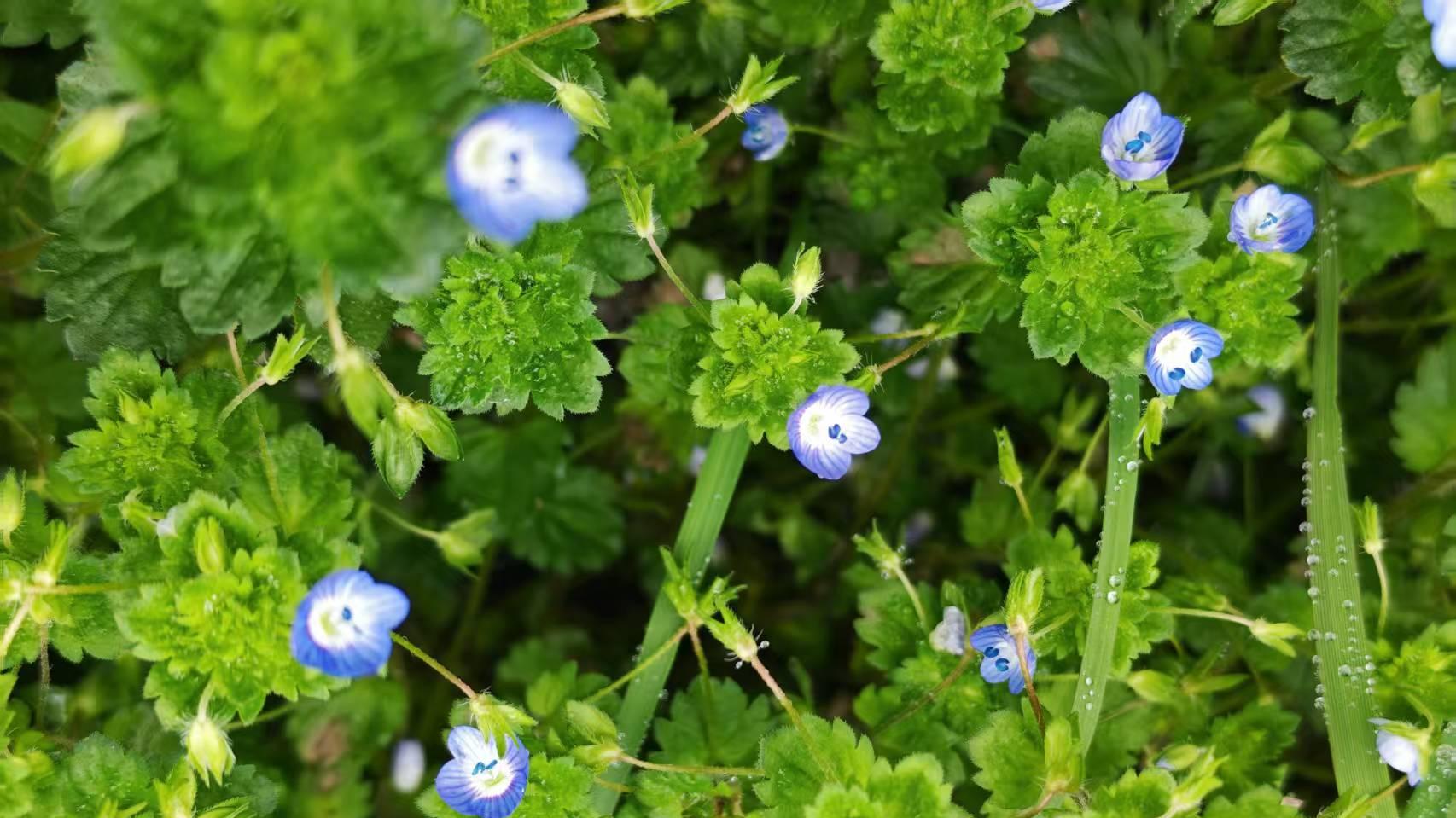 适合幼儿园孩子读的桥梁书都有哪些?