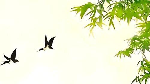 立春火旺，忌火者如何化解困局？——王镜海师傅帮你解析