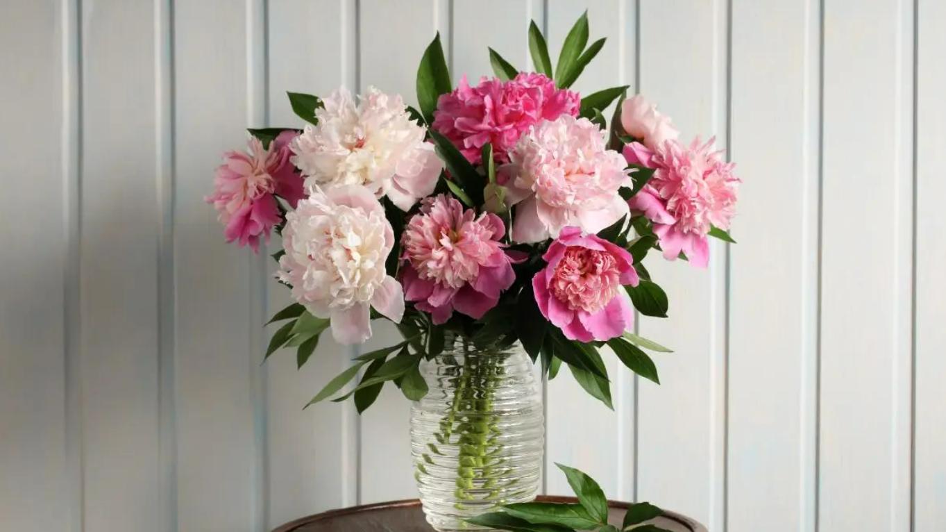 离婚后，我和前婆婆一起生活，成了养娃“最佳搭子”