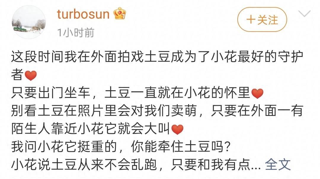 孙俪晒女儿背影，11岁小花与领养狗狗超有爱！穿兄妹装背影像邓超