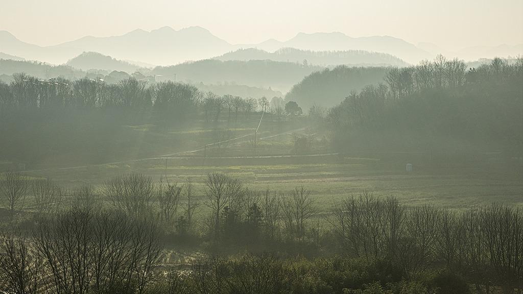 清明节回农村老家，见证迁坟后，我对"入土为安"有了新理解