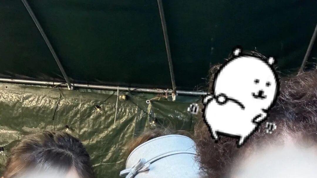 赵露思摆摊卖蛋烘糕，羡慕吃到的网友