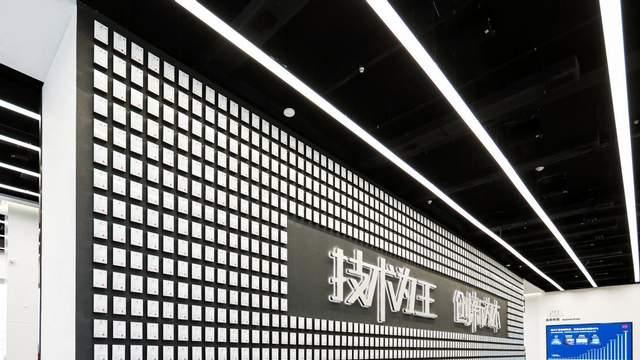 三大绿色梦想成真了，王传福20年前布局，如今全兑现？