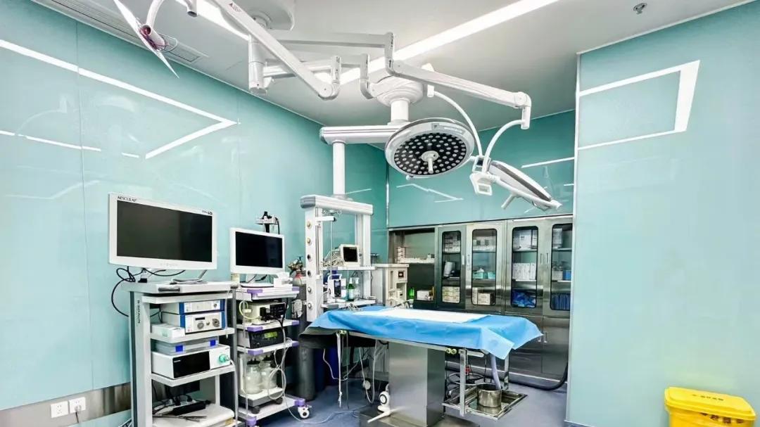 瑞派宠物医院彭枭君：以术破局，在生死迷雾中守护宠物健康