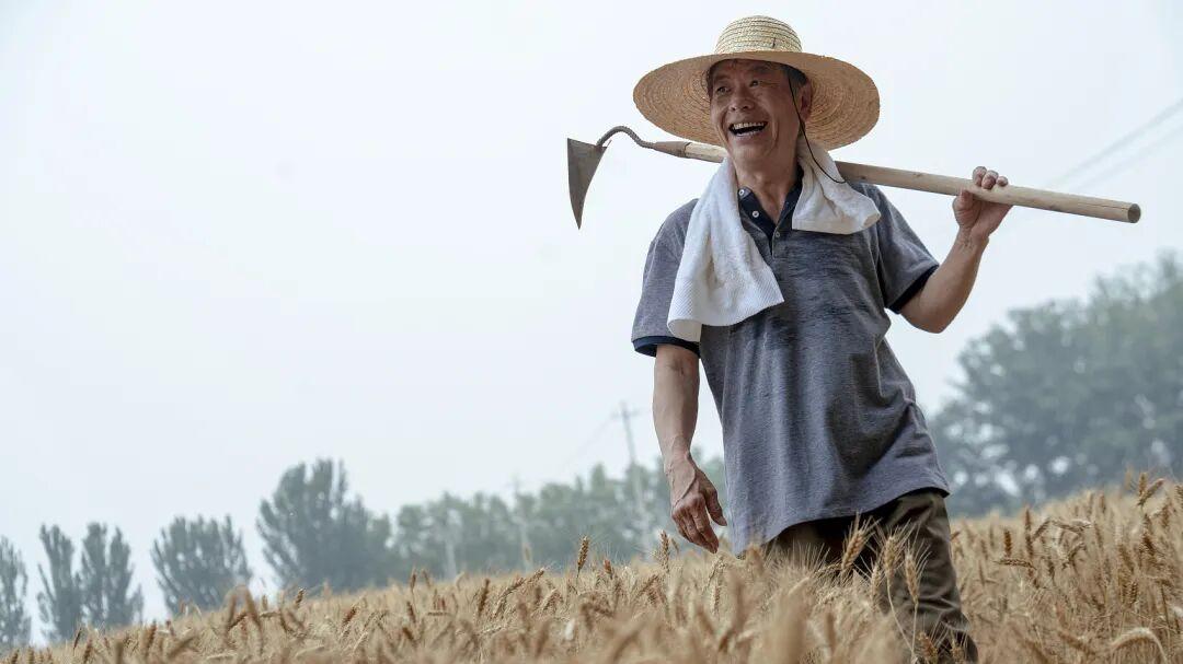 今天的河南人，到底是不是古代河南人？