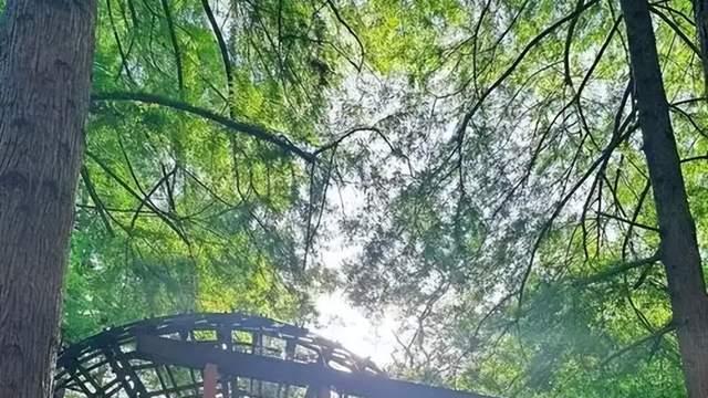 河南信阳，山水美景和茶园，真的好好玩！