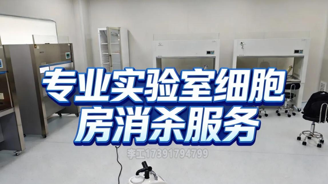 2小时终结隐形杀手！细胞房救星来了，次日就能复工太香了