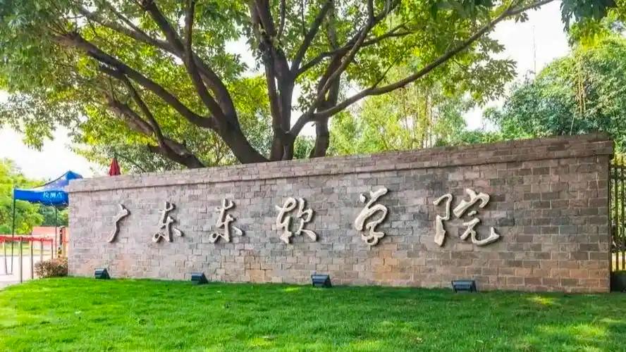 2026年广东东软学院成人高考招生专业及报名流程