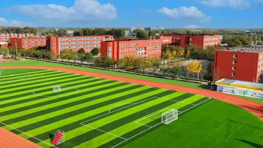 北京市博文学校小学部专属暑期学习方案解锁孩子的自主成长力