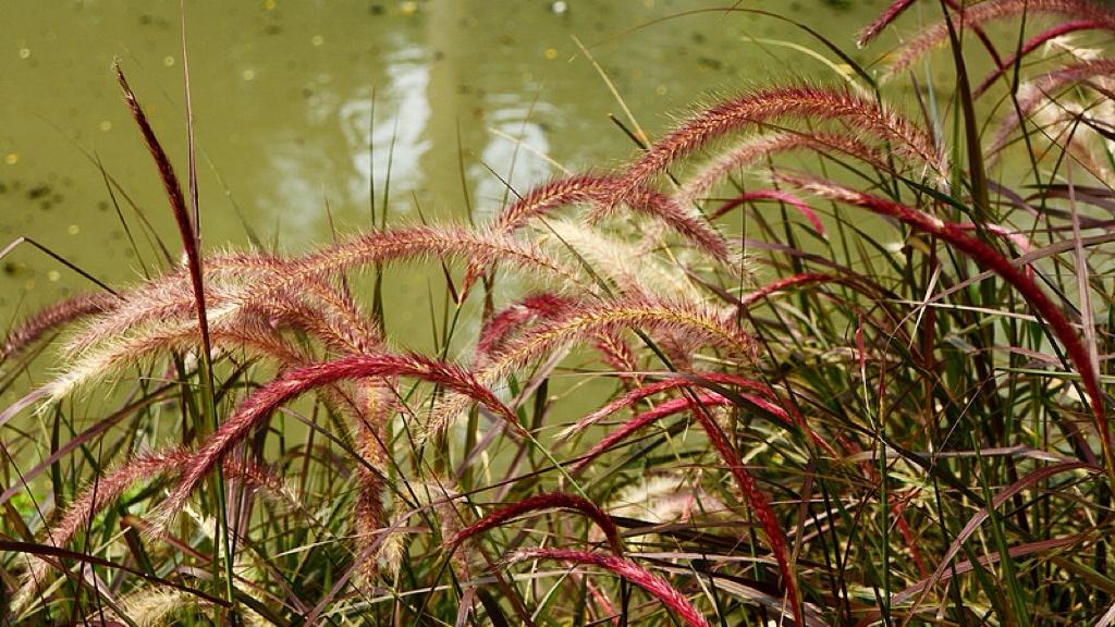 城乡一体化不是“齐步走”