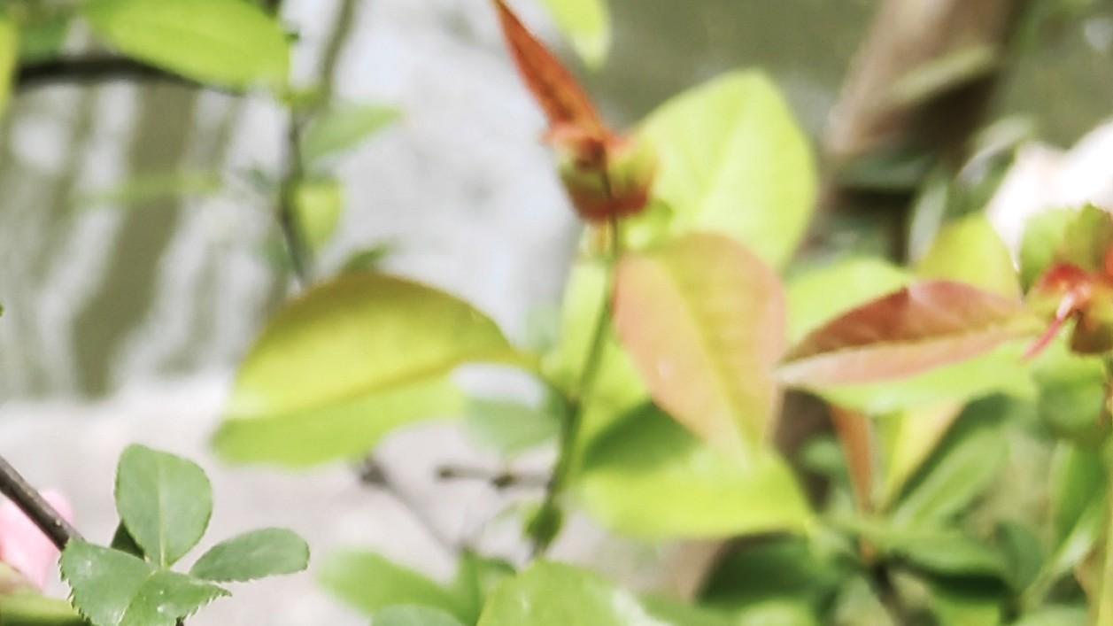 内行外行，谁更懂行？