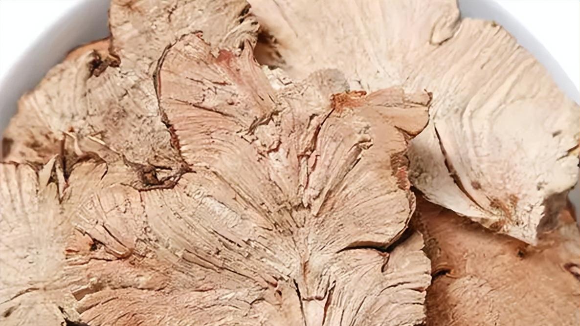 肺痈要药，解毒排脓 —— 金荞麦