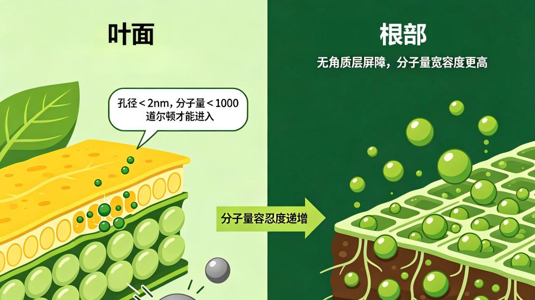 厂家不会告诉你的事：同一瓶氨基酸，走错路＝白花钱