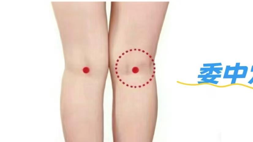 免疫力差？每天按揉几分钟，扶正固本、守护健康，不花一分钱