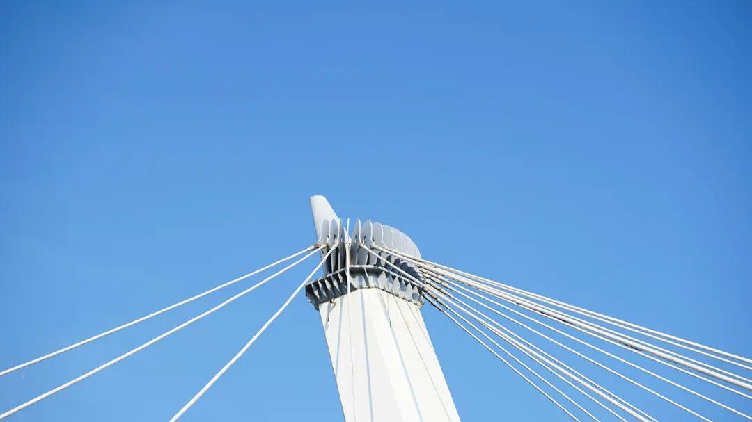 SCI论文里的WOS号是什么？有什么用？