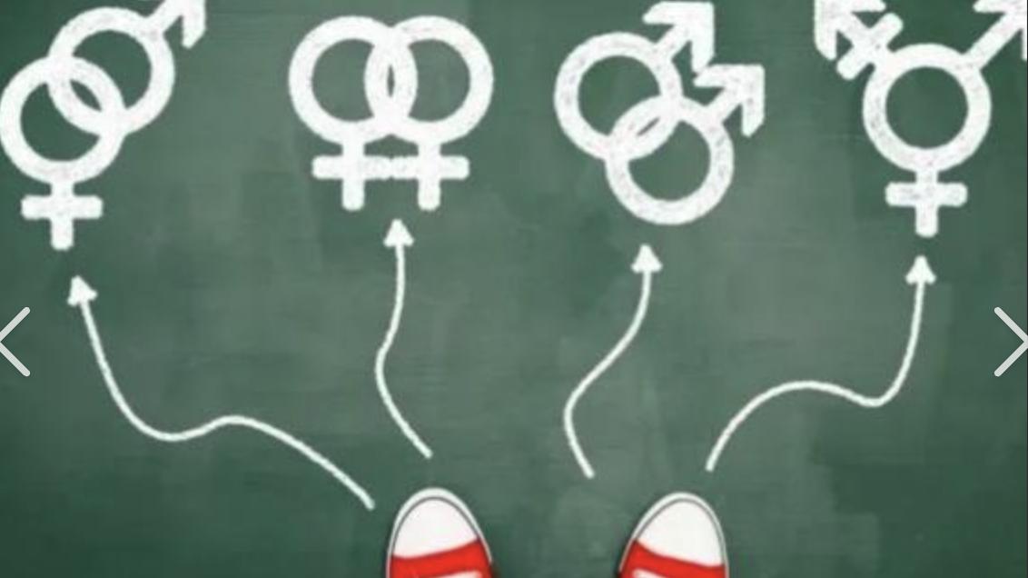 历史性投票：欧洲全面叫停“性取向扭转”，含跨性别者