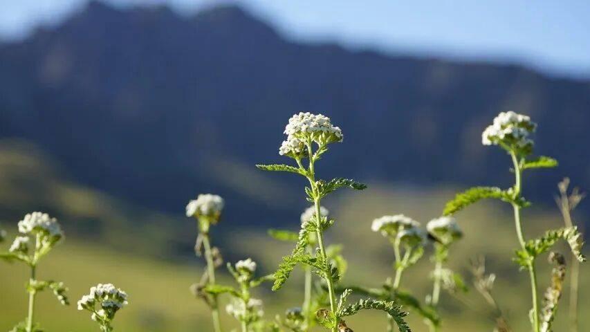 家电国补扩围：长虹奥克斯方太追觅发力，海信格力TCL小熊激战