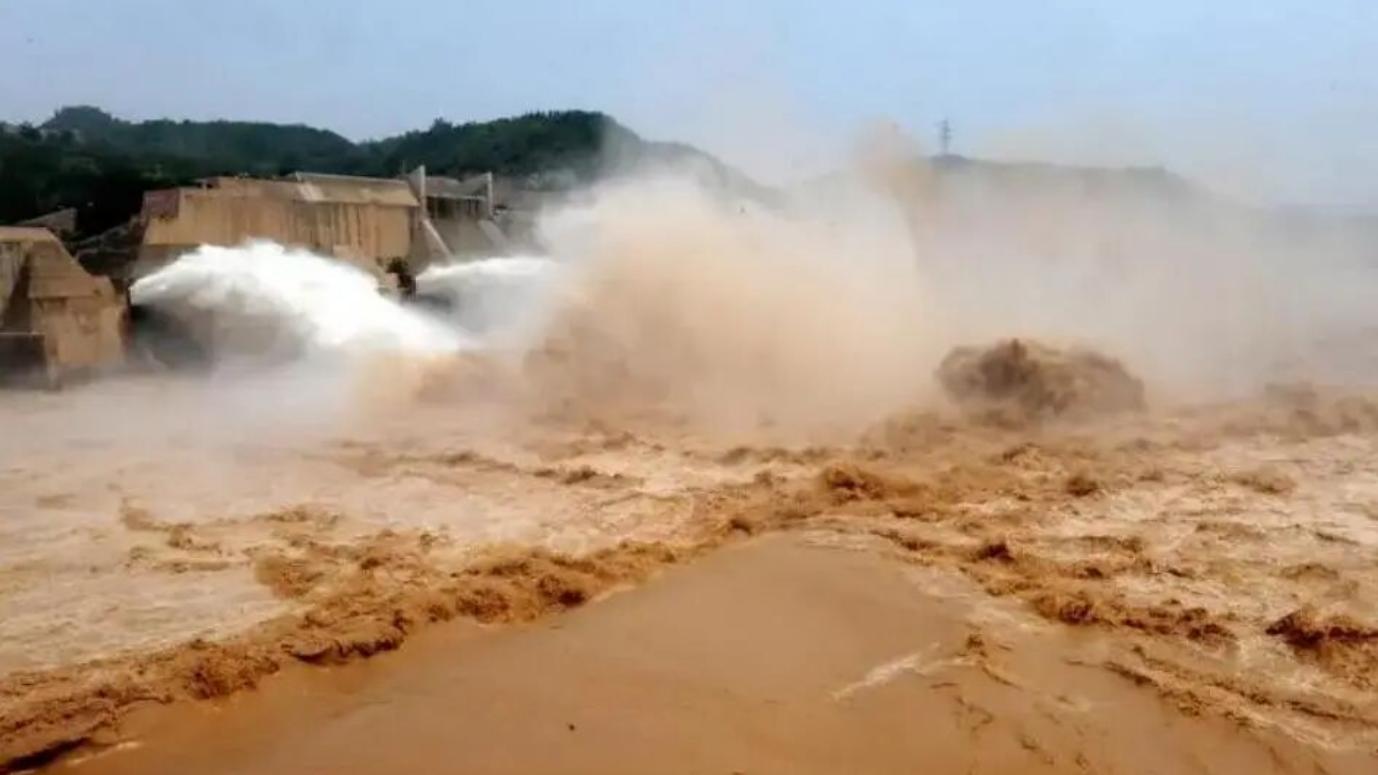 1天水位猛降3米，小浪底接近215米调沙控制线，黄河流鱼要来了！黄河调沙开始：十几斤大花鲢大鲤鱼漂上