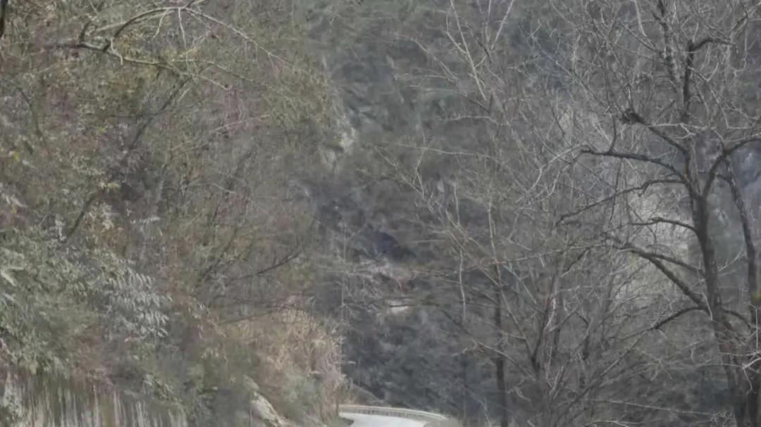 平武回应“平平路”修复进展：九绵高速施工致损 还建工作稳步推进