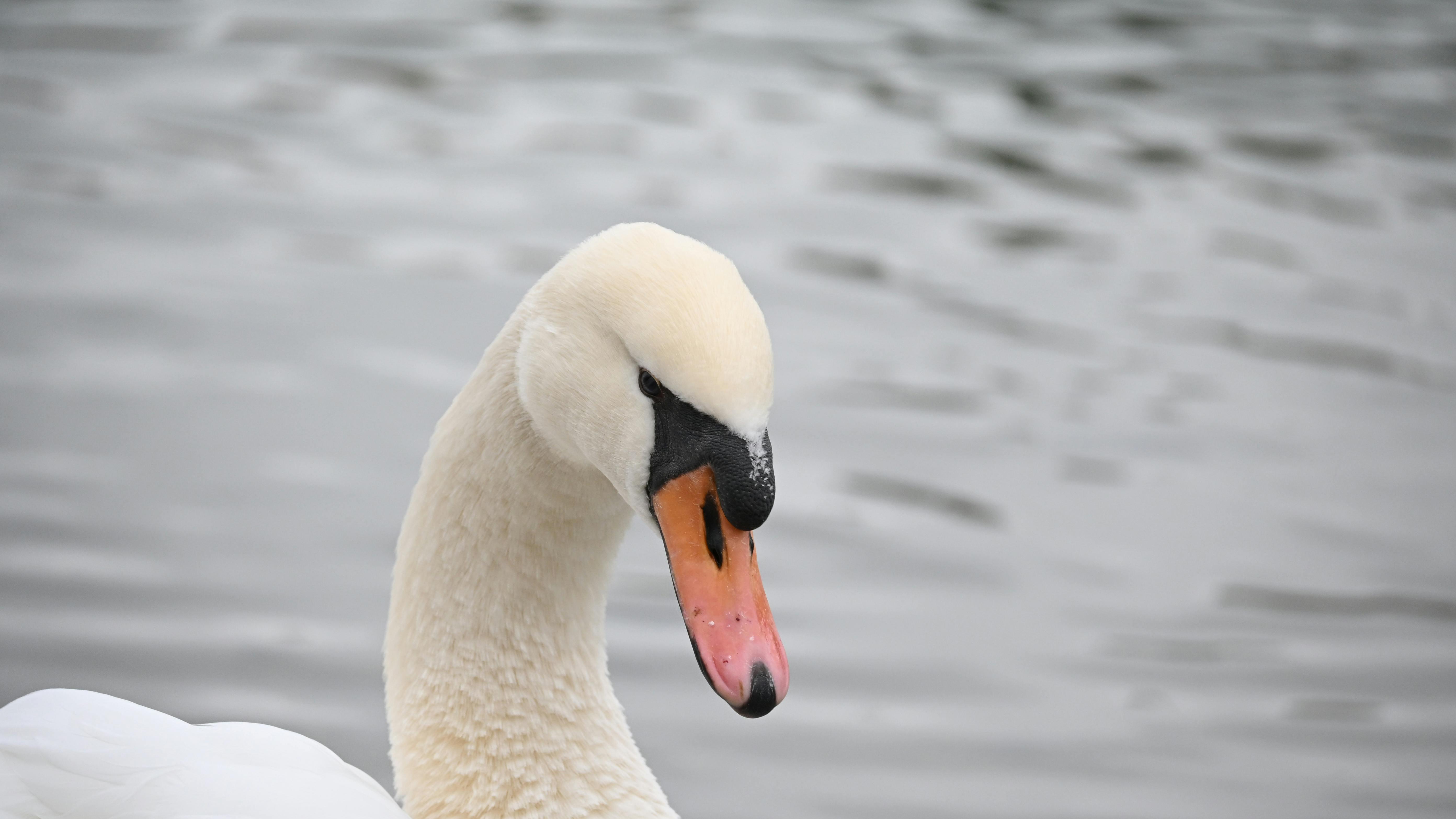 真正厉害的人，为什么反而没架子