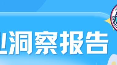 2026民宿产业洞察报告第一期