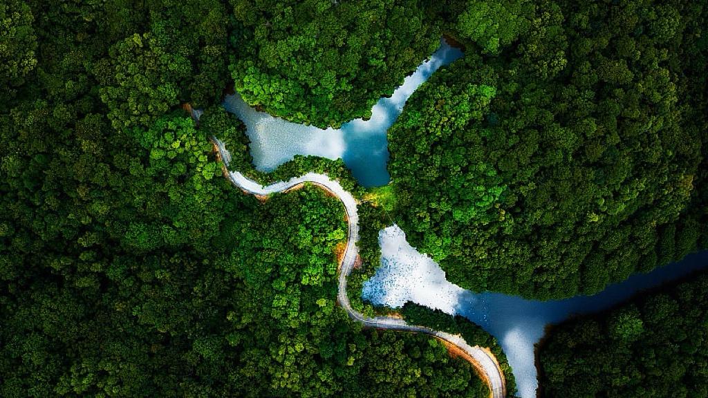 外媒读不懂中国经济，它们还活在2005年