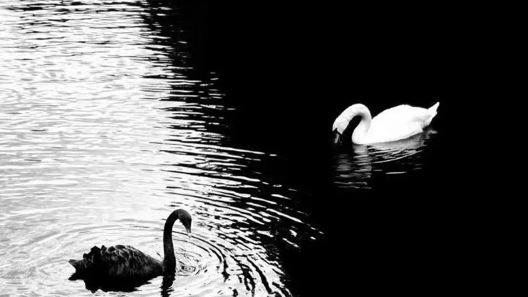 紫微斗数：十四颗主星的阴暗面