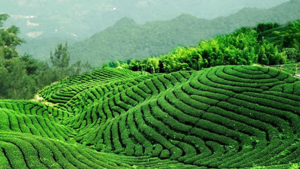 所有结果都是条件的叠加