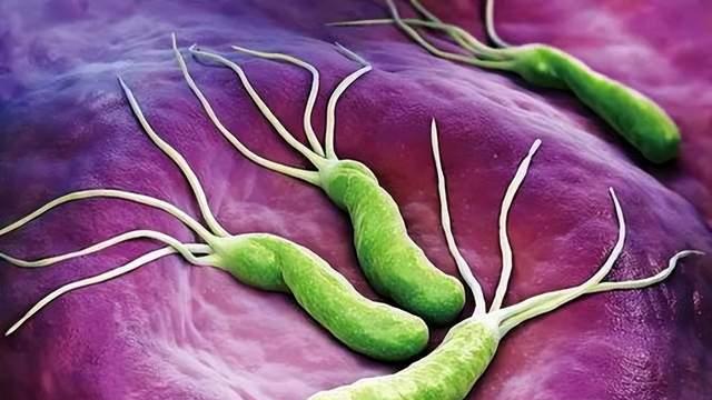 一人感染，全家遭殃？预防幽门螺旋杆菌，出现6类症状快就医