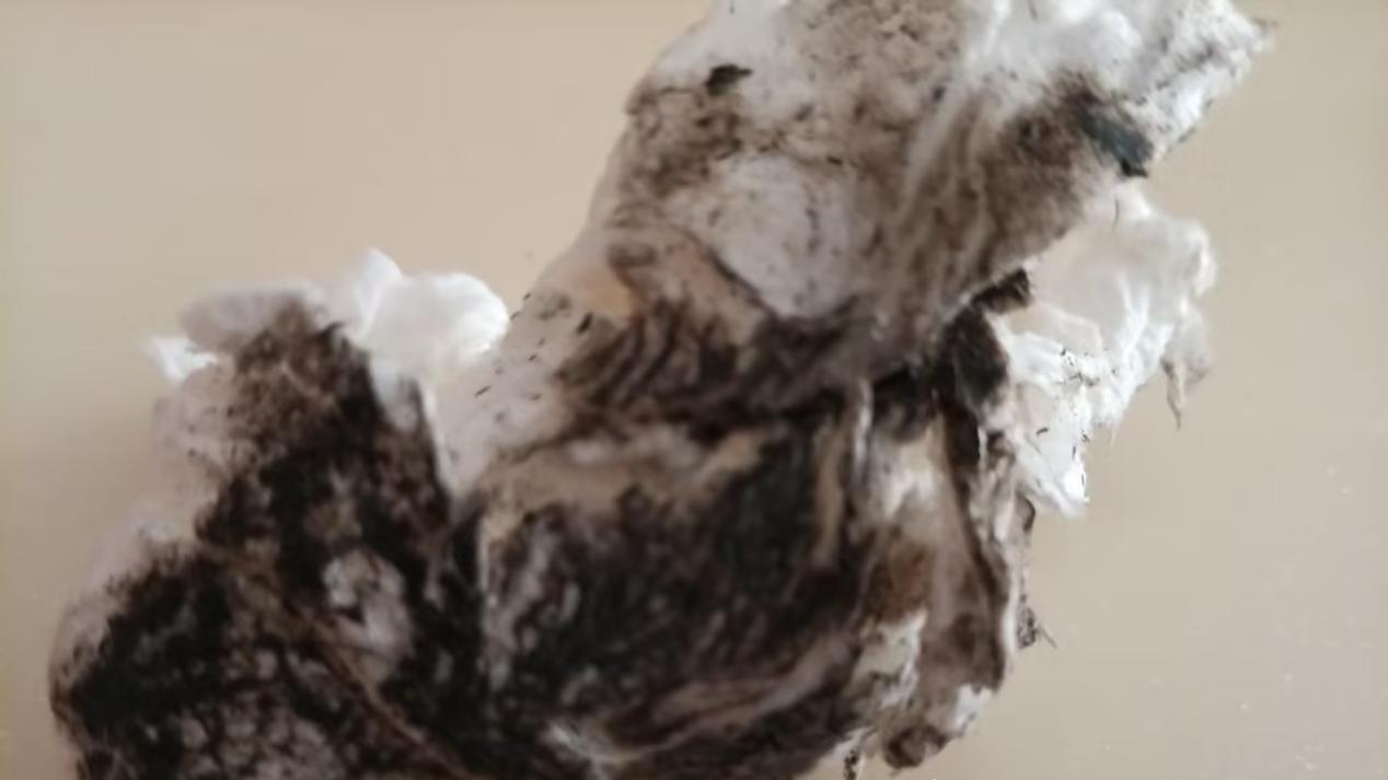 患癌女子自述十余年离奇梦魇：家中频遭破坏异味刺鼻，苦盼救援