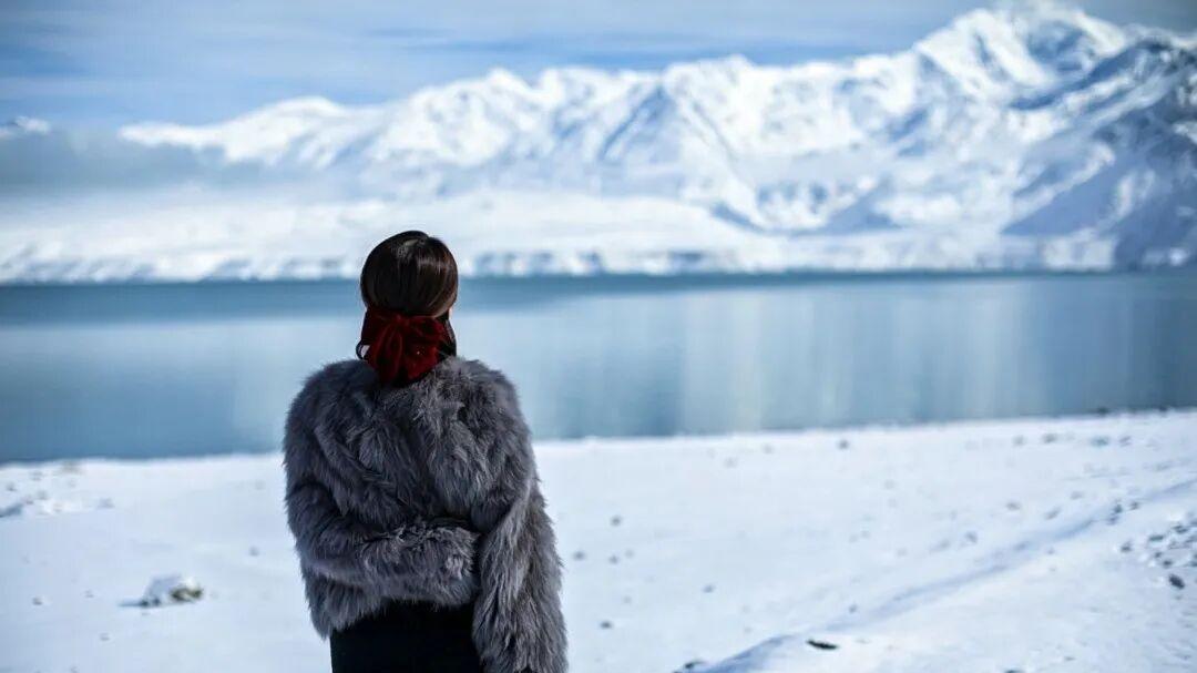 读完《生死疲劳》，我决定不再内耗了