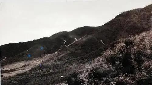 抗美援朝战场，明明我军有很多汽车，为何要成立手推车运输团？