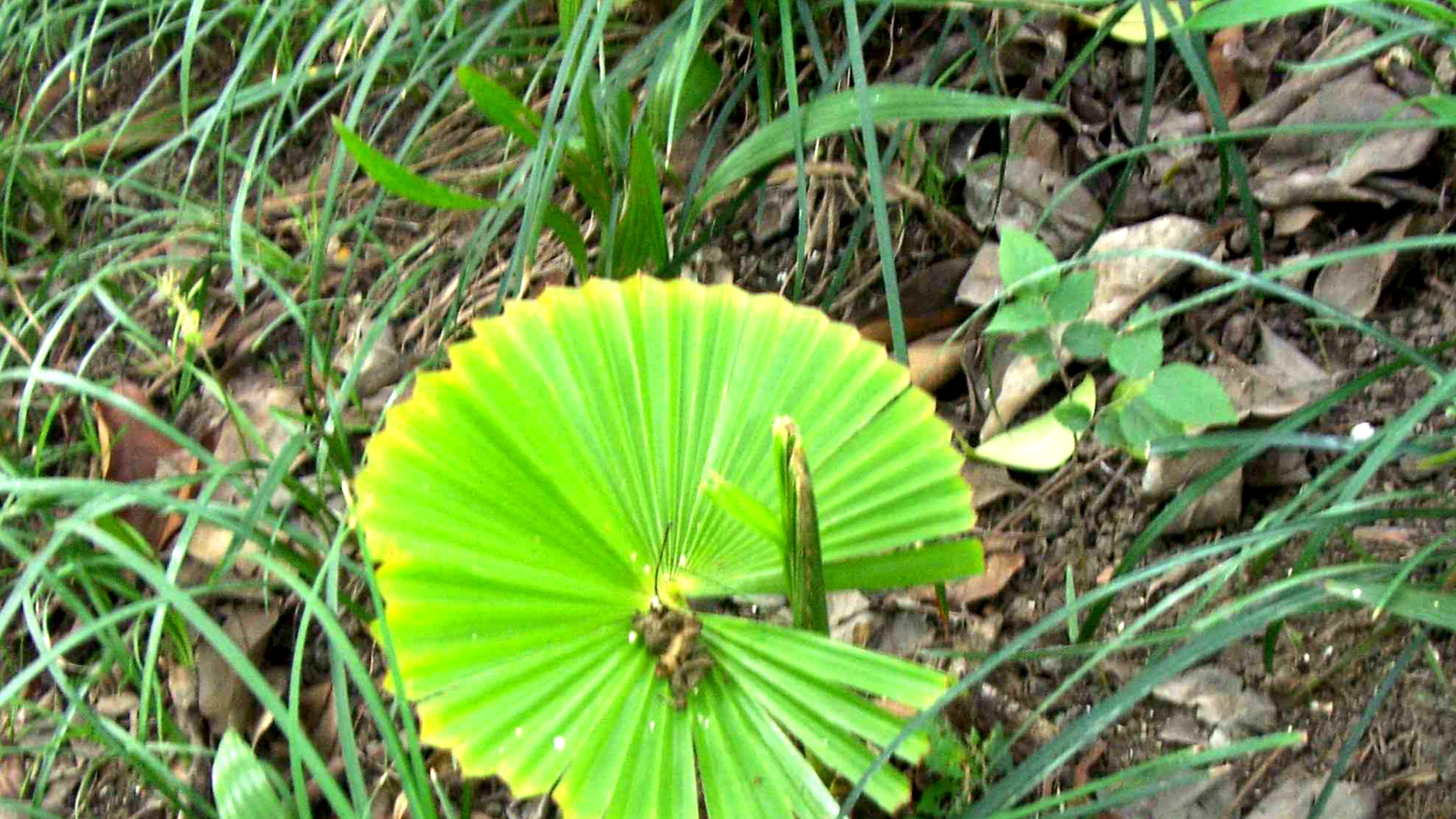 倘无时运，百无一用