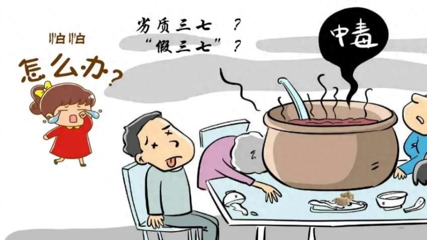 如何挑选"靓"三七？药师来帮你！