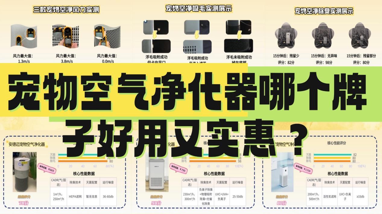 宠物空气净化器哪个牌子好用又实惠？宠物空气净化器买哪种好？