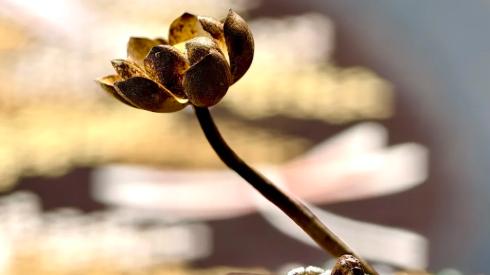 万福荣祥匠心工艺：腾冲翡翠的切割、雕刻与抛光全过程解析