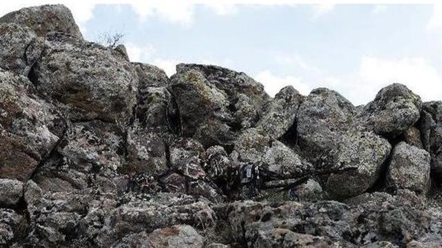 5张照片里都藏着一位狙击手，能在30秒内找到的人，视力不一般