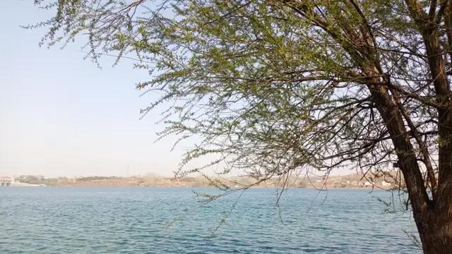 那年那事那人之聋哑人阿强